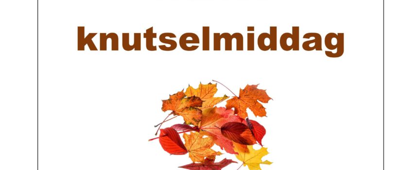 Vrijdag 27 oktober a.s. knutselmiddag