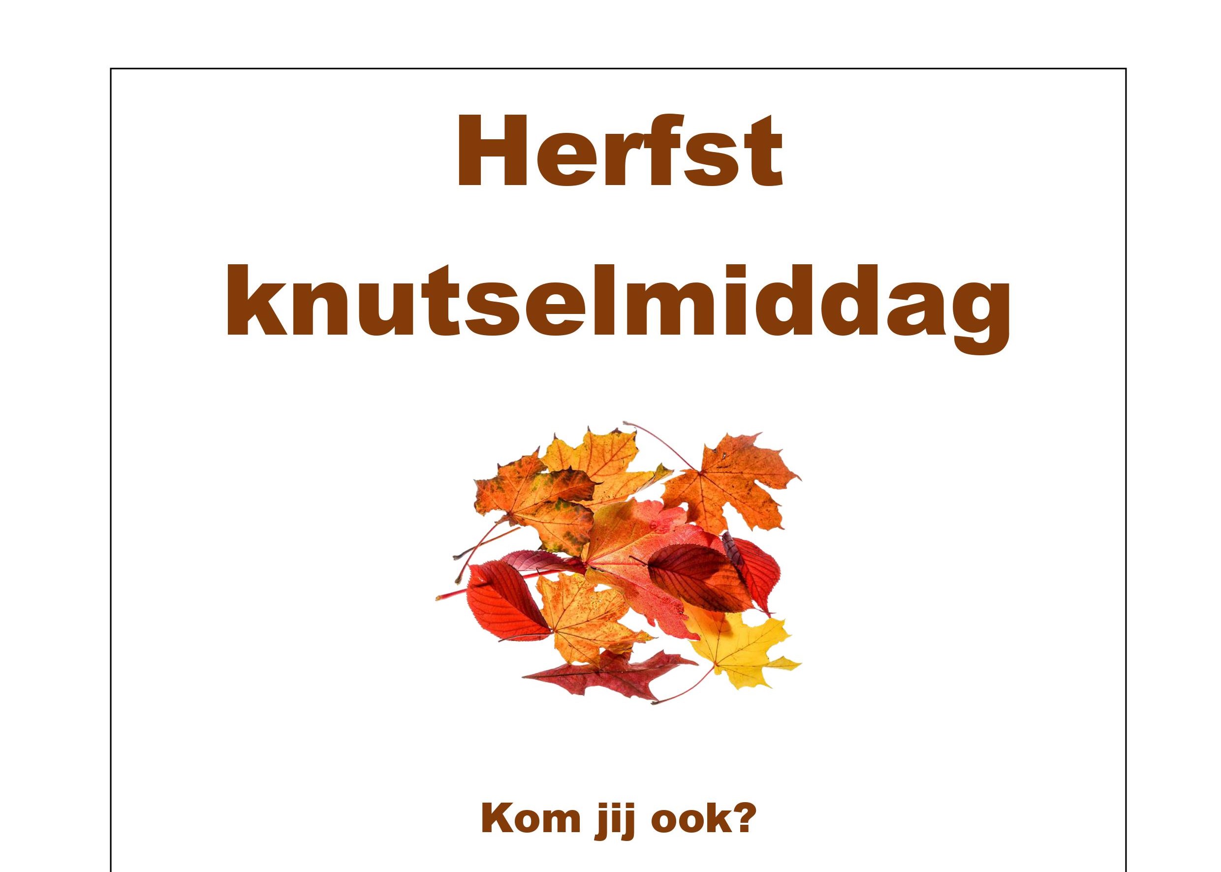 Vrijdag 27 oktober a.s. knutselmiddag